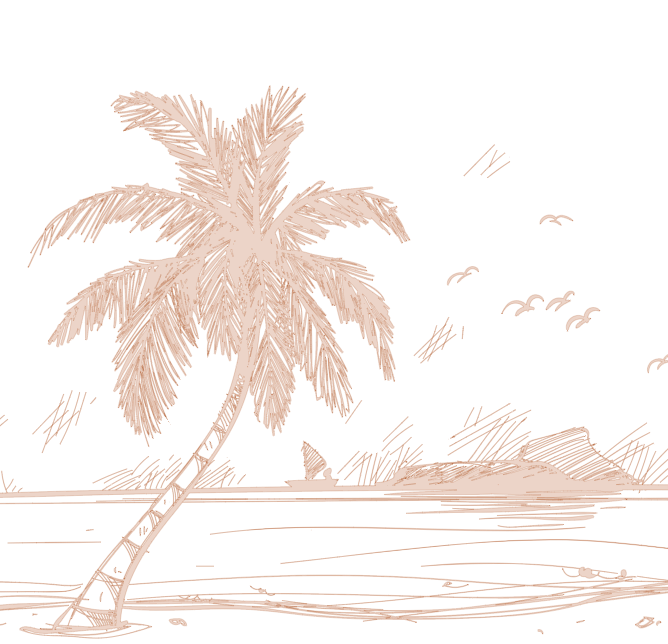 Sea coconut tree line art